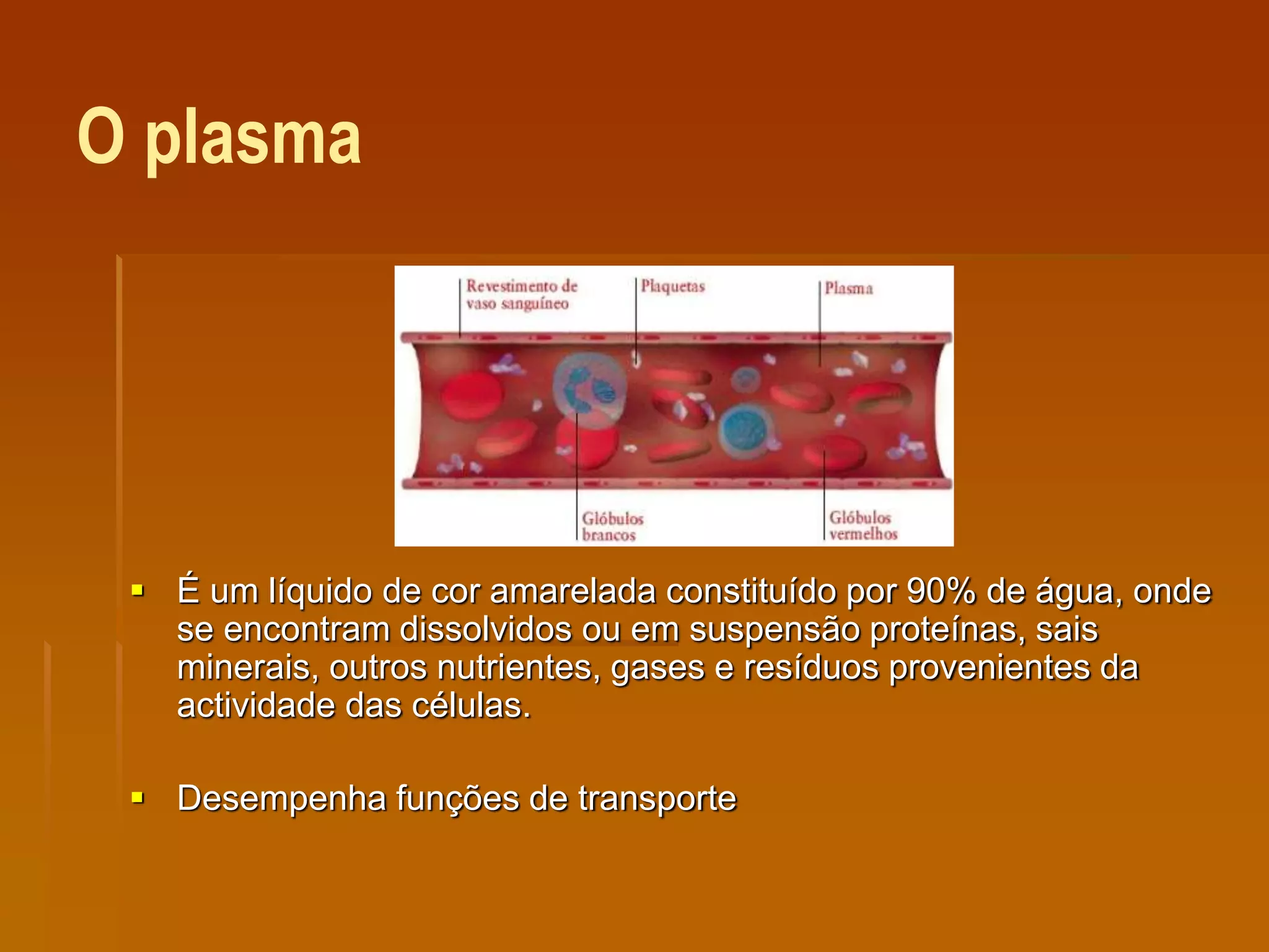 O plasma
 É um líquido de cor amarelada constituído por 90% de água, onde
se encontram dissolvidos ou em suspensão proteínas, sais
minerais, outros nutrientes, gases e resíduos provenientes da
actividade das células.
 Desempenha funções de transporte
 
