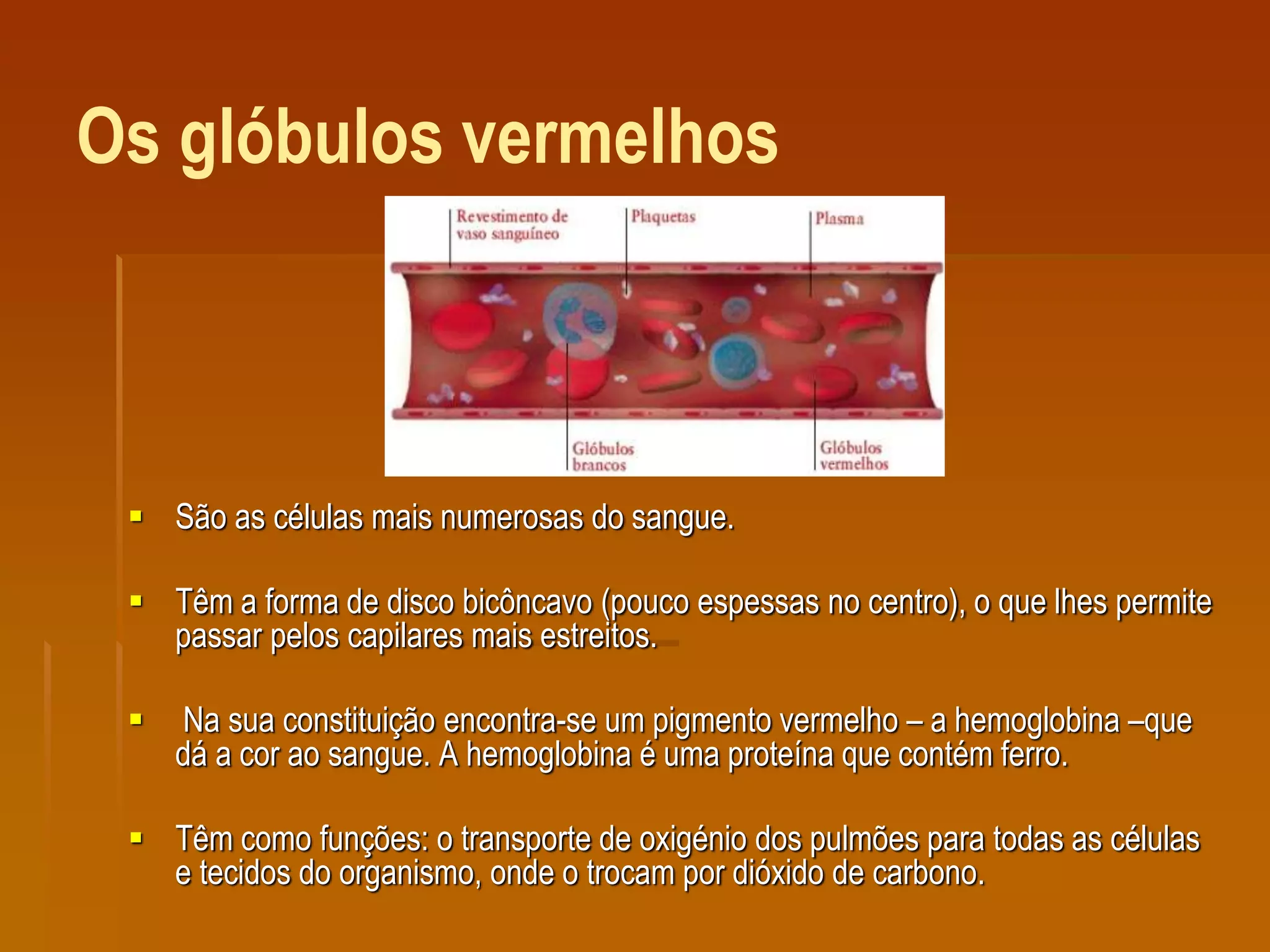 Os glóbulos vermelhos
 São as células mais numerosas do sangue.
 Têm a forma de disco bicôncavo (pouco espessas no centro), o que lhes permite
passar pelos capilares mais estreitos.
 Na sua constituição encontra-se um pigmento vermelho – a hemoglobina –que
dá a cor ao sangue. A hemoglobina é uma proteína que contém ferro.
 Têm como funções: o transporte de oxigénio dos pulmões para todas as células
e tecidos do organismo, onde o trocam por dióxido de carbono.
 
