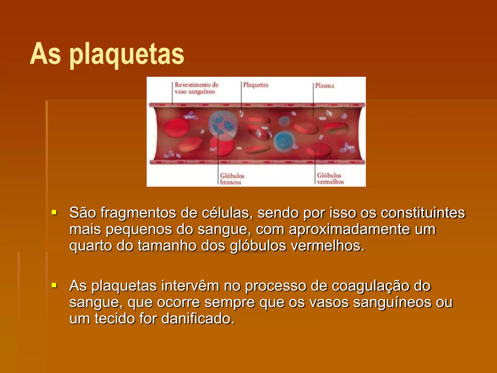 As plaquetas
 São fragmentos de células, sendo por isso os constituintes
mais pequenos do sangue, com aproximadamente um
quarto do tamanho dos glóbulos vermelhos.
 As plaquetas intervêm no processo de coagulação do
sangue, que ocorre sempre que os vasos sanguíneos ou
um tecido for danificado.
 