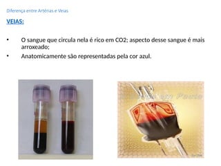 Diferença entre Artérias e Veias
VEIAS:
• O sangue que circula nela é rico em CO2; aspecto desse sangue é mais
arroxeado;
• Anatomicamente são representadas pela cor azul.
 