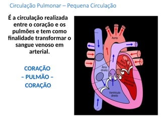 Circulação Pulmonar – Pequena Circulação
É a circulação realizada
entre o coração e os
pulmões e tem como
finalidade transformar o
sangue venoso em
arterial.
CORAÇÃO
– PULMÃO –
CORAÇÃO
 