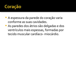 A espessura da parede do coração varia conforme as suas cavidades.  As paredes dos átrios são delgadas e dos ventrículos mais espessas, formadas por tecido muscular cardíaco- miocárdio. 