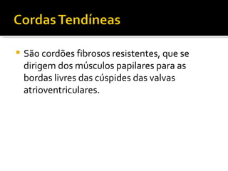 São cordões fibrosos resistentes, que se dirigem dos músculos papilares para as bordas livres das cúspides das valvas atrioventriculares. 