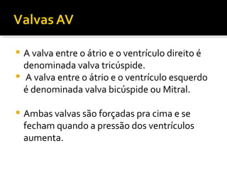 A valva entre o átrio e o ventrículo direito é denominada valva tricúspide. A valva entre o átrio e o ventrículo esquerdo é denominada valva bicúspide ou Mitral. Ambas valvas são forçadas pra cima e se fecham quando a pressão dos ventrículos aumenta. 