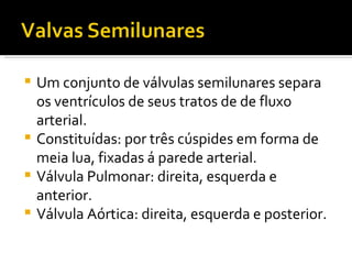 Um conjunto de válvulas semilunares separa os ventrículos de seus tratos de de fluxo arterial.  Constituídas: por três cúspides em forma de meia lua, fixadas á parede arterial. Válvula Pulmonar: direita, esquerda e anterior. Válvula Aórtica: direita, esquerda e posterior. 