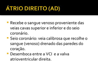Recebe o sangue venoso proveniente das veias cavas superior e inferior e do seio coronário.  Seio coronário: veia calibrosa que recolhe o sangue (venoso) drenado das paredes do coração.  Desemboca entre a VCI  e a valva atrioventricular direita.  