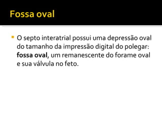 O septo interatrial possui uma depressão oval do tamanho da impressão digital do polegar:  fossa oval , um remanescente do forame oval e sua válvula no feto. 
