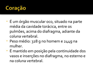 É um órgão muscular oco, situado na parte média da cavidade torácica, entre os pulmões, acima do diafragma, adiante da coluna vertebral.  Peso médio: 328 g no homem e 244g na mulher.  É mantido em posição pela continuidade dos vasos e inserções no diafragma, no esterno e na coluna vertebral.  
