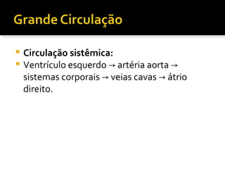 Circulação sistêmica: Ventrículo esquerdo  ->  artéria aorta  ->  sistemas corporais  ->  veias cavas  ->  átrio direito.  