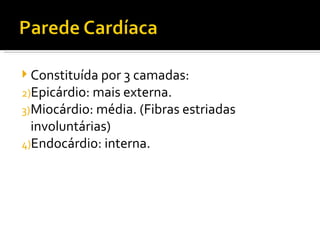 Constituída por 3 camadas: Epicárdio: mais externa.  Miocárdio: média. (Fibras estriadas involuntárias) Endocárdio: interna. 