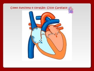 Como funciona o coração: Ciclo Cardíaco
 