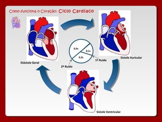 Como funciona o Coração: Ciclo Cardíaco




                                  0,4s
                                                0,1s

                                         0,3s                            Sístole Auricular
                                                       1º Ruído
     Diástole Geral
                       2º Ruído




                                                       Sístole Ventricular
 