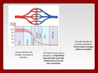 Grande redução na
                                                  pressão sanguínea.
                                                 Como é que o sangue
                                                  volta ao coração?
 Vasos próximos do     Aumenta a área, logo a
coração. A pressão é   pressão cai. Importante
      elevada.         para permitir que haja
                        tempo para as trocas
                           com os tecidos.
 