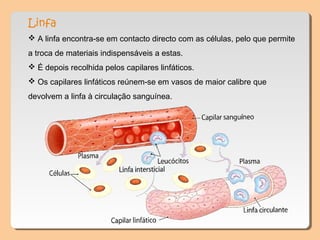 Linfa
 A linfa encontra-se em contacto directo com as células, pelo que permite
a troca de materiais indispensáveis a estas.
 É depois recolhida pelos capilares linfáticos.
 Os capilares linfáticos reúnem-se em vasos de maior calibre que
devolvem a linfa à circulação sanguínea.
 