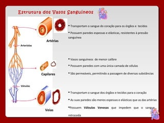 Estrutura dos Vasos Sanguíneos


                            Transportam o sangue do coração para os órgãos e tecidos

                            Possuem paredes espessas e elásticas, resistentes à pressão
                           sanguínea
                Artérias
Arteríolas




                            Vasos sanguíneos de menor calibre

                            Possuem paredes com uma única camada de células

             Capilares      São permeáveis, permitindo a passagem de diversas substâncias


 Vénulas

                            Transportam o sangue dos órgãos e tecidos para o coração

                            As suas paredes são menos espessas e elásticas que as das artérias

                           Possuem Válvulas Venosas que impedem que o sangue
               Veias
                           retroceda
 