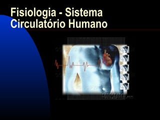 Fisiologia - Sistema
Circulatório Humano
 