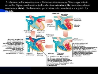  As câmaras cardíacas contraem-se e dilatam-se alternadamente 70 vezes por minuto, 
em média. O processo de contração de cada câmara do miocárdio (músculo cardíaco) 
denomina-se sístole. O relaxamento, que acontece entre uma sístole e a seguinte, é a 
diástole. 
 
