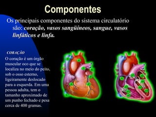 Componentes
Os principais componentes do sistema circulatório
são: coração, vasos sangüíneos, sangue, vasoscoração, vasos sangüíneos, sangue, vasos
linfáticos e linfa.linfáticos e linfa.
CORAÇÃOCORAÇÃO
O coração é um órgão
muscular oco que se
localiza no meio do peito,
sob o osso esterno,
ligeiramente deslocado
para a esquerda. Em uma
pessoa adulta, tem o
tamanho aproximado de
um punho fechado e pesa
cerca de 400 gramas.
 