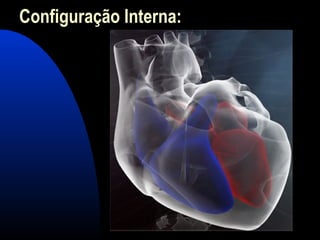 Configuração Interna:
 
