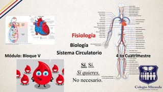 Fisiología
Biología
Sistema Circulatorio
Módulo: Bloque V 4 to Cuatrimestre
Sí. Sí.
Sí quieres.
No necesario.
 