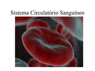 Sistema Circulatório Sanguíneo
 