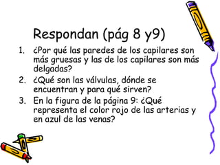 Respondan (pág 8 y9)
1. ¿Por qué las paredes de los capilares son
más gruesas y las de los capilares son más
delgadas?
2. ¿Qué son las válvulas, dónde se
encuentran y para qué sirven?
3. En la figura de la página 9: ¿Qué
representa el color rojo de las arterias y
en azul de las venas?
 