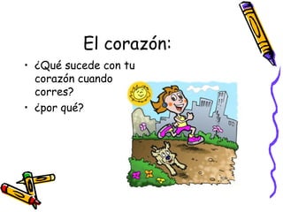El corazón:
• ¿Qué sucede con tu
corazón cuando
corres?
• ¿por qué?
 