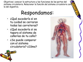 Respondamos:
• ¿Qué sucedería si en
tu cuidad se cerraran
todas las carreteras?
• ¿Qué sucedería si se
tapara el sistema de
cañerías de tu calle?
• ¿Se puede comparar
con el sistema
circulatorio? ¿Cómo?
Objetivos: conocer la estructura y las funciones de las partes del
sistema circulatorio. Relacionar la función del sistema circulatorio con
la del digestivo.
 