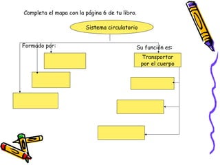 Sistema circulatorio
Completa el mapa con la página 6 de tu libro.
Transportar
por el cuerpo
Formado por: Su función es:
 