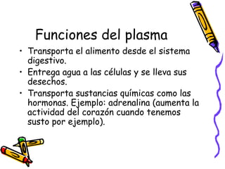 Funciones del plasma
• Transporta el alimento desde el sistema
digestivo.
• Entrega agua a las células y se lleva sus
desechos.
• Transporta sustancias químicas como las
hormonas. Ejemplo: adrenalina (aumenta la
actividad del corazón cuando tenemos
susto por ejemplo).
 