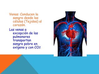 Venas: Conducen la
sangre desde las
células (Tejidos) al
corazón.
Las venas a
excepción de las
pulmonares
transportan
sangre pobre en
oxígeno y con CO2
 