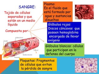 Tejido de células
separadas y que
están en un medio
líquido
SANGRE:
Plasma:
Es el fluido que
está formado por
agua y sustancias
disueltas
Glóbulos rojos:
Discos cóncavos que
poseen hemoglobina
encargada de llevar
oxígeno
Glóbulos blancos: células
que participan en la
defensa del cuerpo
Plaquetas: Fragmentos
de células que evitan
la pérdida de sangre
Compuesta por:
 