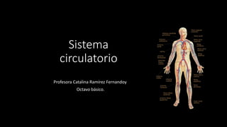 Sistema
circulatorio
Profesora Catalina Ramírez Fernandoy.
Octavo básico.
 