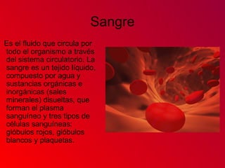 Sangre
Es el fluido que circula por
todo el organismo a través
del sistema circulatorio. La
sangre es un tejido líquido,
compuesto por agua y
sustancias orgánicas e
inorgánicas (sales
minerales) disueltas, que
forman el plasma
sanguíneo y tres tipos de
células sanguíneas:
glóbulos rojos, glóbulos
blancos y plaquetas.
 