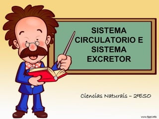 SISTEMA
CIRCULATORIO E
    SISTEMA
   EXCRETOR



 Ciencias Naturais – 2ºESO
 