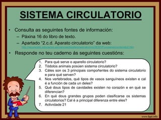 SISTEMA CIRCULATORIO
• Consulta as seguintes fontes de información:
   – Páxina 16 do libro de texto.
   – Apartado “2.c.d...