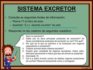 SISTEMA EXCRETOR
• Consulta as seguintes fontes de información:
   – Páxina 17 do libro de texto.
   – Apartado “2.c.c. Ap...