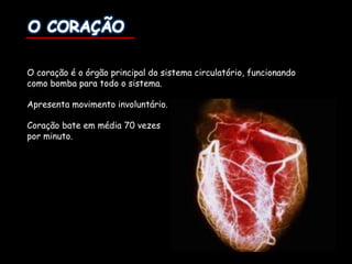 O coração é o órgão principal do sistema circulatório, funcionando
como bomba para todo o sistema.
Apresenta movimento involuntário.
Coração bate em média 70 vezes
por minuto.
 
