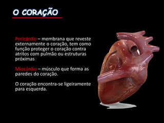 Pericárdio – membrana	que	reveste	
externamente	o	coração,	tem	como	
função	proteger	o	coração	contra	
atritos	com	pulmão	ou	estruturas	
próximas
Miocárdio	– músculo	que	forma	as	
paredes	do	coração.
O	coração	encontra-se	ligeiramente	
para	esquerda.
 