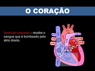 Ventrículo esquerdo – recebe o
sangue que é bombeado pelo
átrio direito.
 