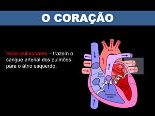 Veias pulmonares – trazem o
sangue arterial dos pulmões
para o átrio esquerdo.
 
