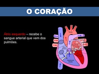 Átrio esquerdo – recebe o
sangue arterial que vem dos
pulmões.
 