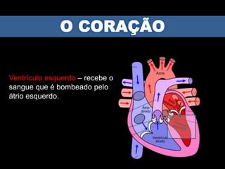 Ventrículo esquerdo – recebe o
sangue que é bombeado pelo
átrio esquerdo.
 