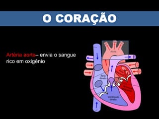 Artéria aorta– envia o sangue
rico em oxigênio
 