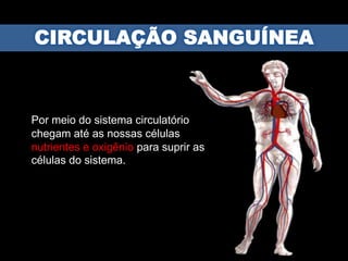 Por meio do sistema circulatório
chegam até as nossas células
nutrientes e oxigênio para suprir as
células do sistema.
 