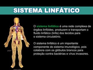 O sistema linfático é uma rede complexa de
órgãos linfóides, produzem e transportam o
fluido linfático (linfa) dos tecidos para
o sistema circulatório.
O sistema linfático é um importante
componente do sistema imunológico, pois
colabora com os glóbulos brancos para
proteção contra bactérias e vírus invasores.
 