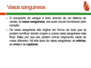 Vasos sanguíneos
 O transporte do sangue é feito através de um sistema de
canais, os vasos sanguíneos, nos quais circula bombeado pelo
coração.
 Os vasos sanguíneos são órgãos em forma de tubo que se
podem ramificar dando origem a outros vasos sanguíneos mais
finos. Estes, por sua vez, podem unir-se originando vasos de
maior diâmetro. Há três tipos de vasos sanguíneos: as artérias,
as veiase os capilares.
 