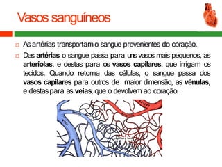 Vasos sanguíneos
 As artérias transportamo sangue provenientes do coração.
 Das artérias o sangue passa para uns vasos mais pequenos, as
arteríolas, e destas para os vasos capilares, que irrigam os
tecidos. Quando retorna das células, o sangue passa dos
vasos capilares para outros de maior dimensão, as vénulas,
e destaspara as veias, que o devolvem ao coração.
 