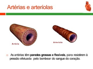Artérias e arteríolas
 As artérias têm paredes grossas e flexíveis, para resistirem à
pressão efetuada pelo bombear do sangue do coração.
 