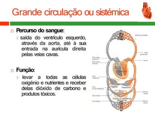 Grande circulação ou sistémica
 Percurso do sangue:
🞑 saída do ventrículo esquerdo,
através da aorta, até à sua
entrada na aurícula direita
pelas veias cavas.
 Função:
🞑 levar a todas as células
oxigénio e nutrientes e receber
delas dióxido de carbono e
produtos tóxicos.
 